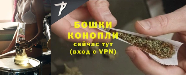 прущие грибы Кодинск