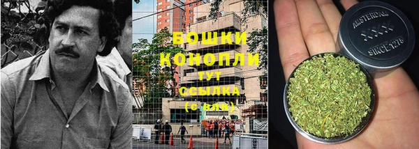 прущие грибы Кодинск