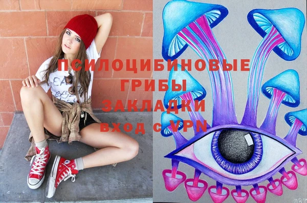 прущие грибы Кодинск