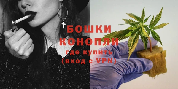 прущие грибы Кодинск